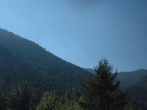 Click to view picture details [6822]