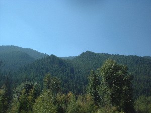 Click to view picture details [6823]