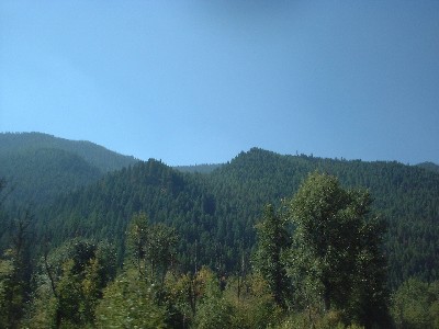 Click to view picture details [6823]