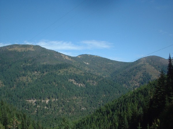 Click to view picture details [6829]