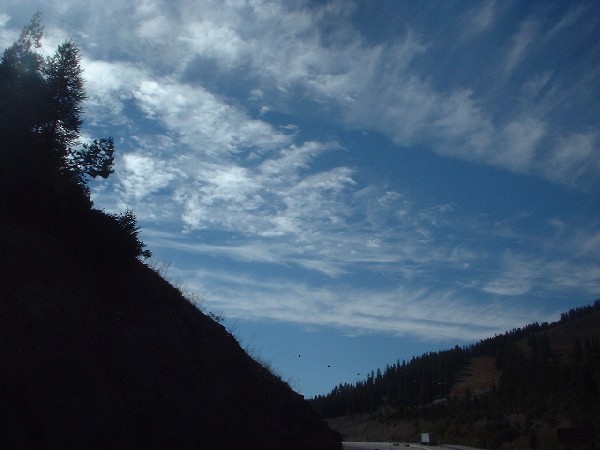 Click to view picture details [6830]