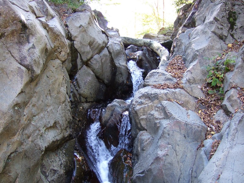 Click to view picture details [7219]