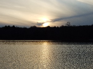 Click to view picture details [8364]