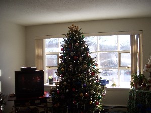 Click to view picture details [8836]