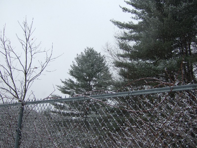 Click to view picture details [9139]