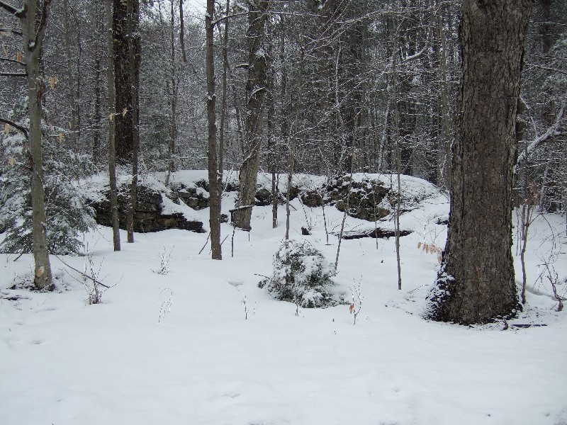 Click to view picture details [9142]