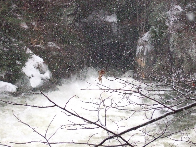 Click to view picture details [9153]