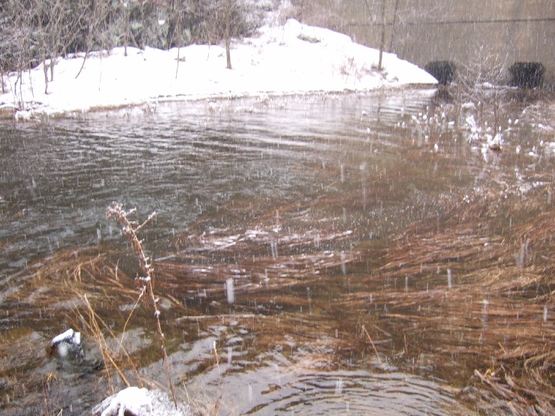 Click to view picture details [9159]