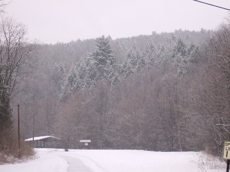 Click to view picture details [9161]