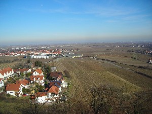 Click to view picture details [9321]