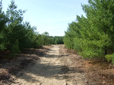 Click to view picture details [9613]