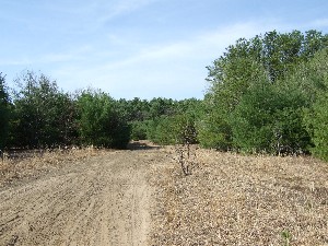 Click to view picture details [9614]