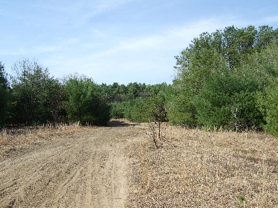 Click to view picture details [9614]