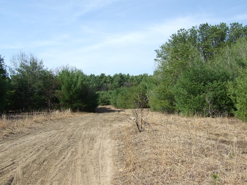 Click to view picture details [9614]