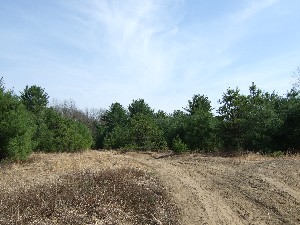 Click to view picture details [9615]