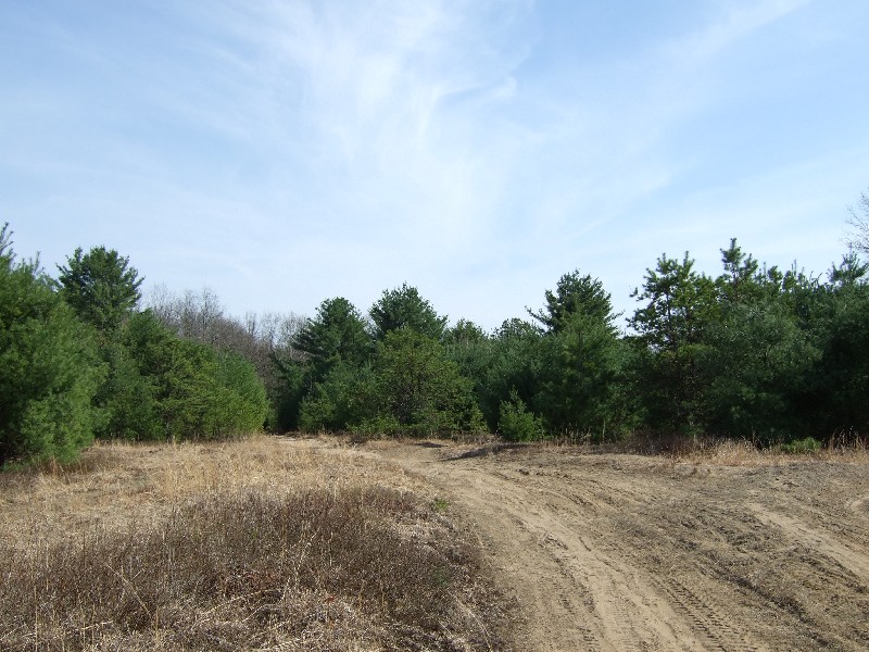 Click to view picture details [9615]