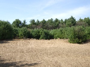 Click to view picture details [9616]