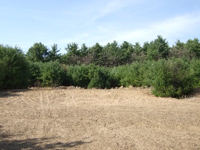 Click to view picture details [9616]