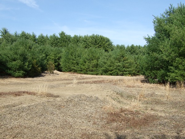 Click to view picture details [9617]