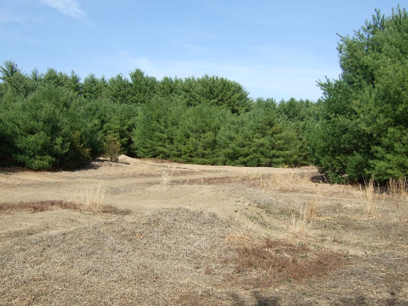 Click to view picture details [9617]