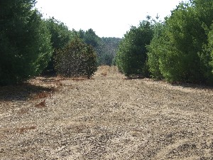 Click to view picture details [9618]