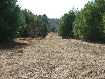 Click to view picture details [9618]