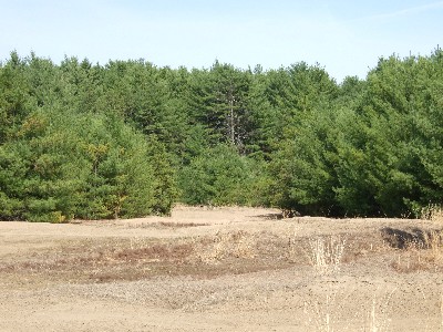 Click to view picture details [9619]