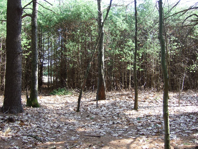 Click to view picture details [9620]