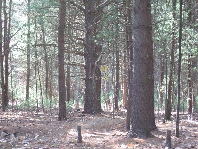 Click to view picture details [9623]