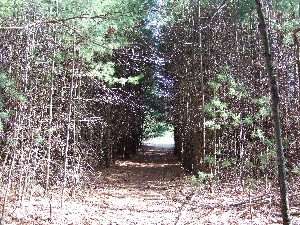 Click to view picture details [9624]