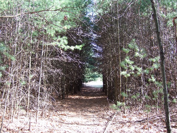 Click to view picture details [9624]