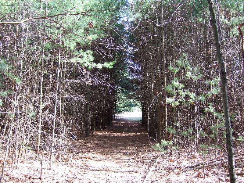 Click to view picture details [9624]