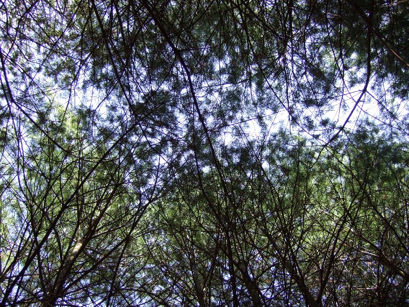 Click to view picture details [9625]