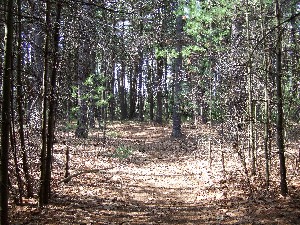 Click to view picture details [9626]