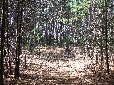 Click to view picture details [9626]