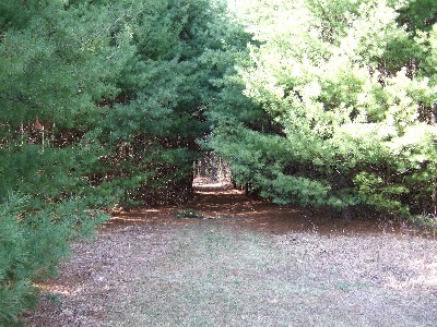 Click to view picture details [9627]