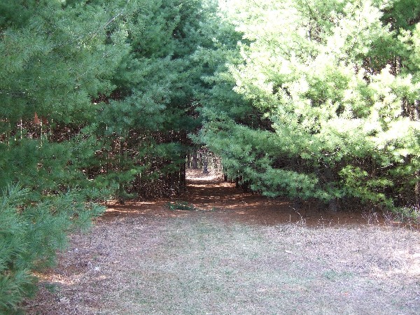 Click to view picture details [9627]