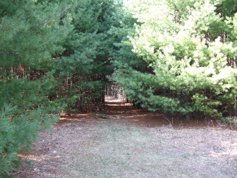 Click to view picture details [9627]