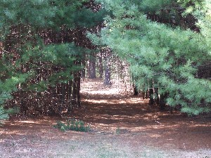 Click to view picture details [9628]