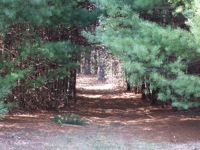 Click to view picture details [9628]