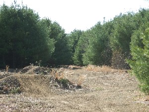 Click to view picture details [9629]