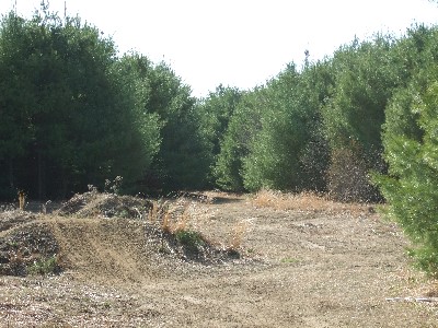 Click to view picture details [9629]