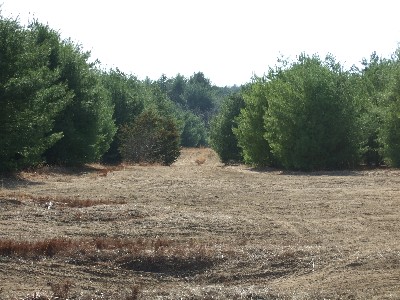 Click to view picture details [9632]