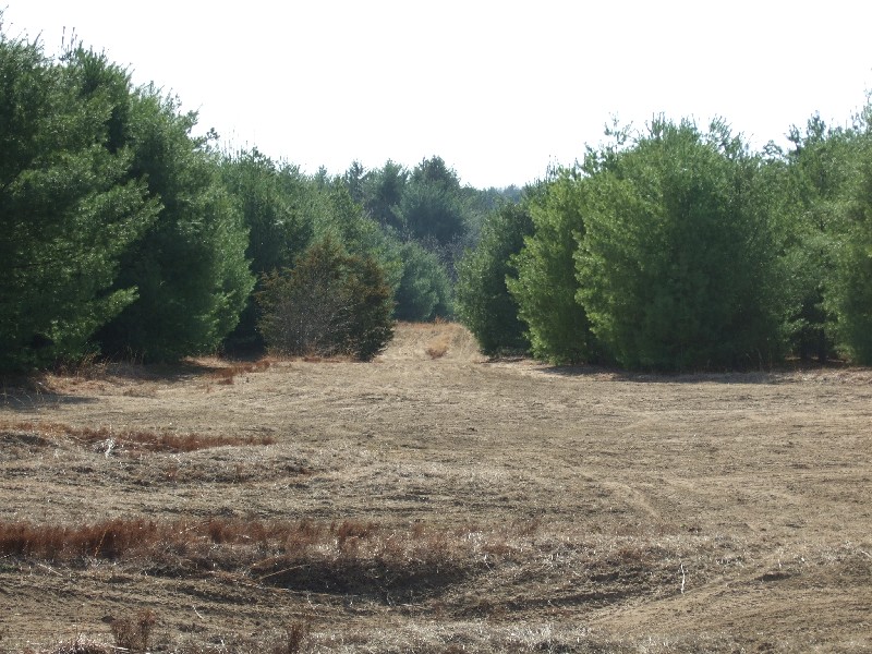 Click to view picture details [9632]