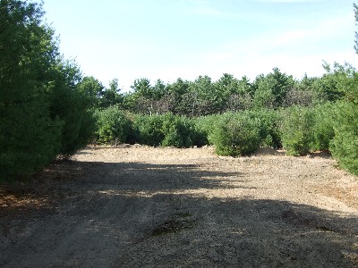 Click to view picture details [9633]