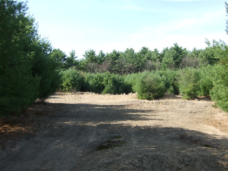 Click to view picture details [9633]