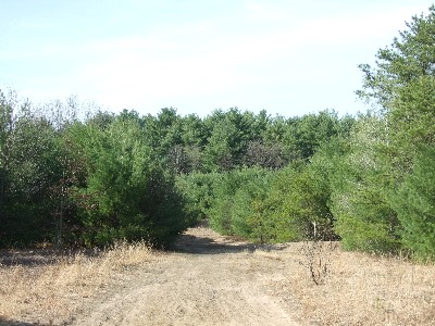 Click to view picture details [9634]