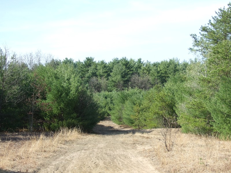 Click to view picture details [9634]