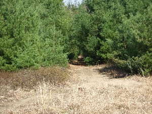 Click to view picture details [9635]