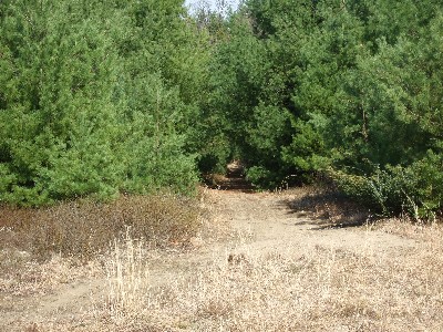 Click to view picture details [9635]